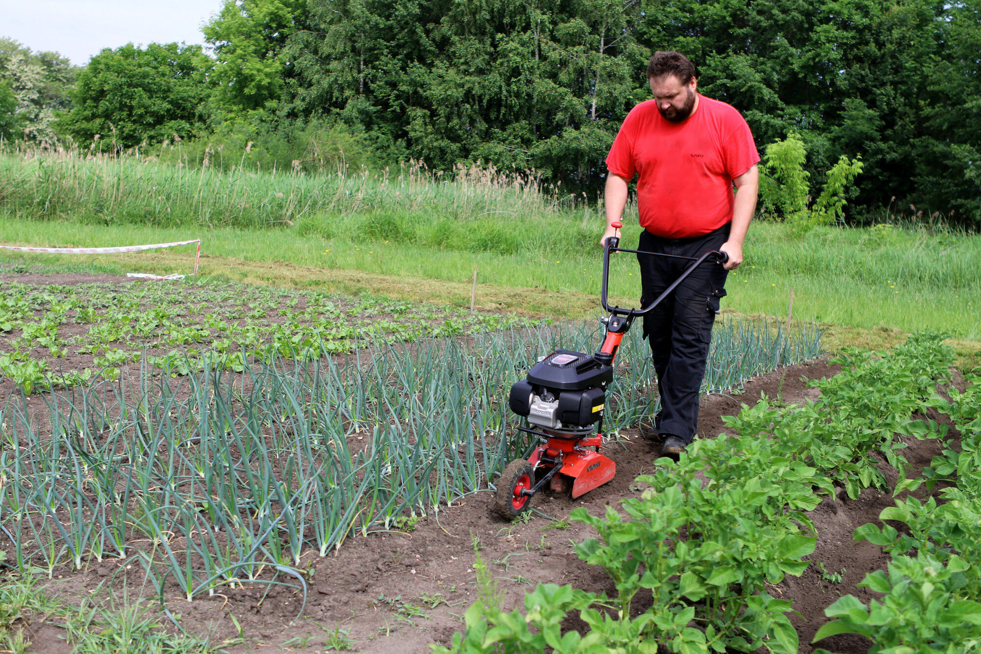 Lawn store rotary hoe